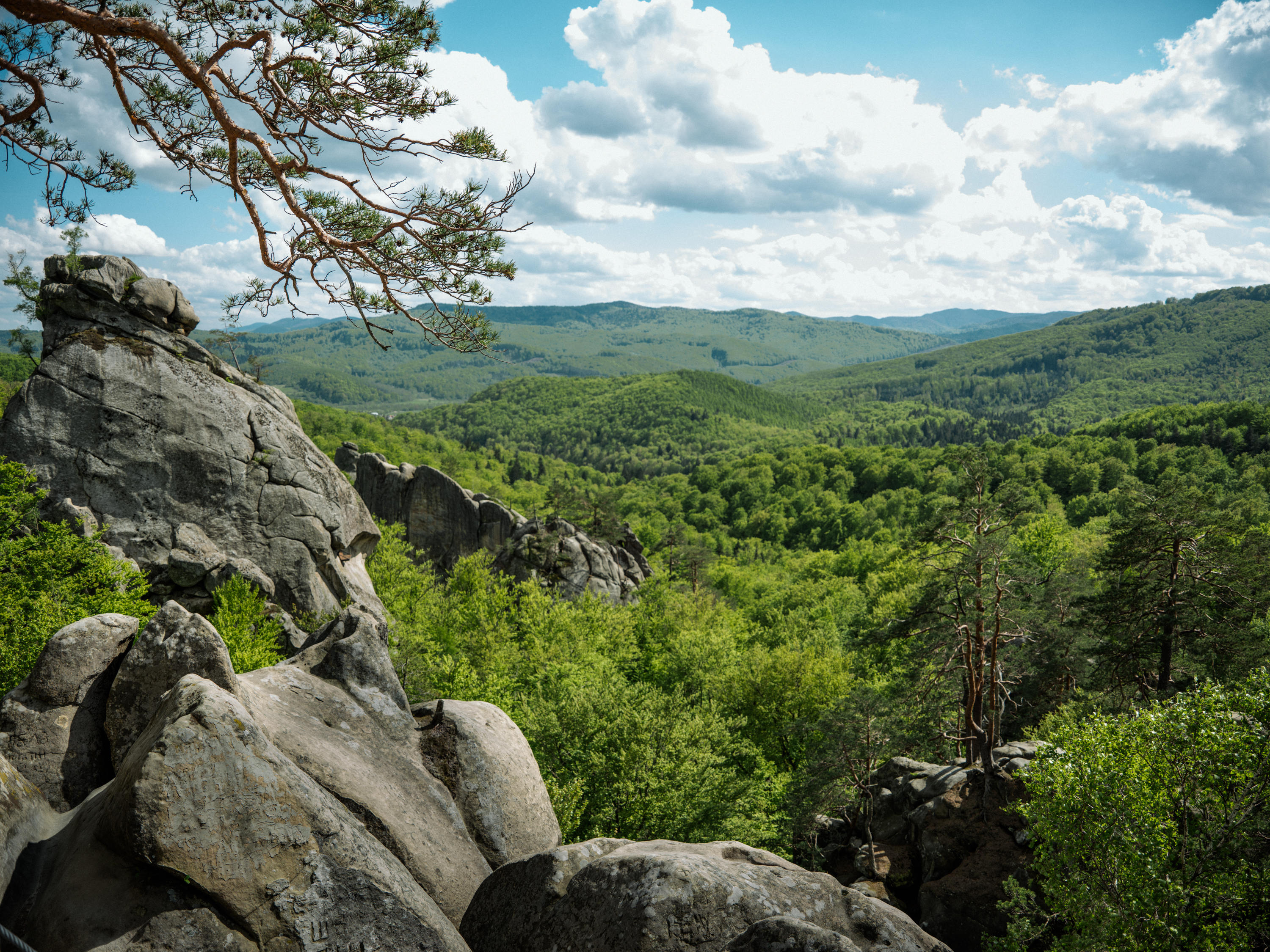 helicopter-crash-on-mount-kilimanjaro-claims-five-lives-during-medical-rescue-mission
